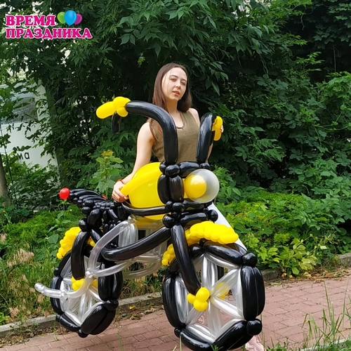 Фигуры из шаров 19
