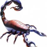K Шар 3D (50''/127 см) Фигура, Скорпион, 1 шт. в упак.