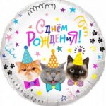 K Шар (18''/46 см) Круг, Котики, С Днем Рождения!, 1 шт. в упак.