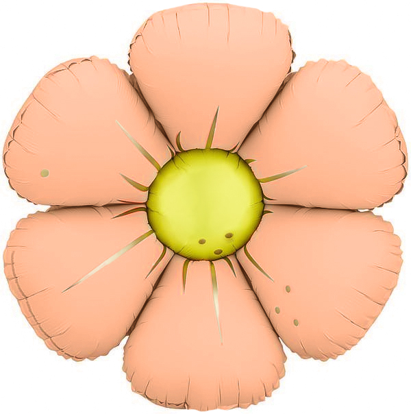 5a99bc62_fac6_405b_b2b9_7d72a6e8d8df_a8cdf419_bc47_11f0_b63c_5c6f6916e93d К Шар (25''/64 см) Цветок, Ромашка (надув воздухом), Персиковый, Сатин, 1 шт. — изображение 1