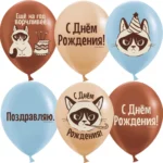 ДБ Шар (12''/30 см) С Днем Рождения! (сердитая кошка), Ассорти, пастель, 2 ст, 25 шт., 613022